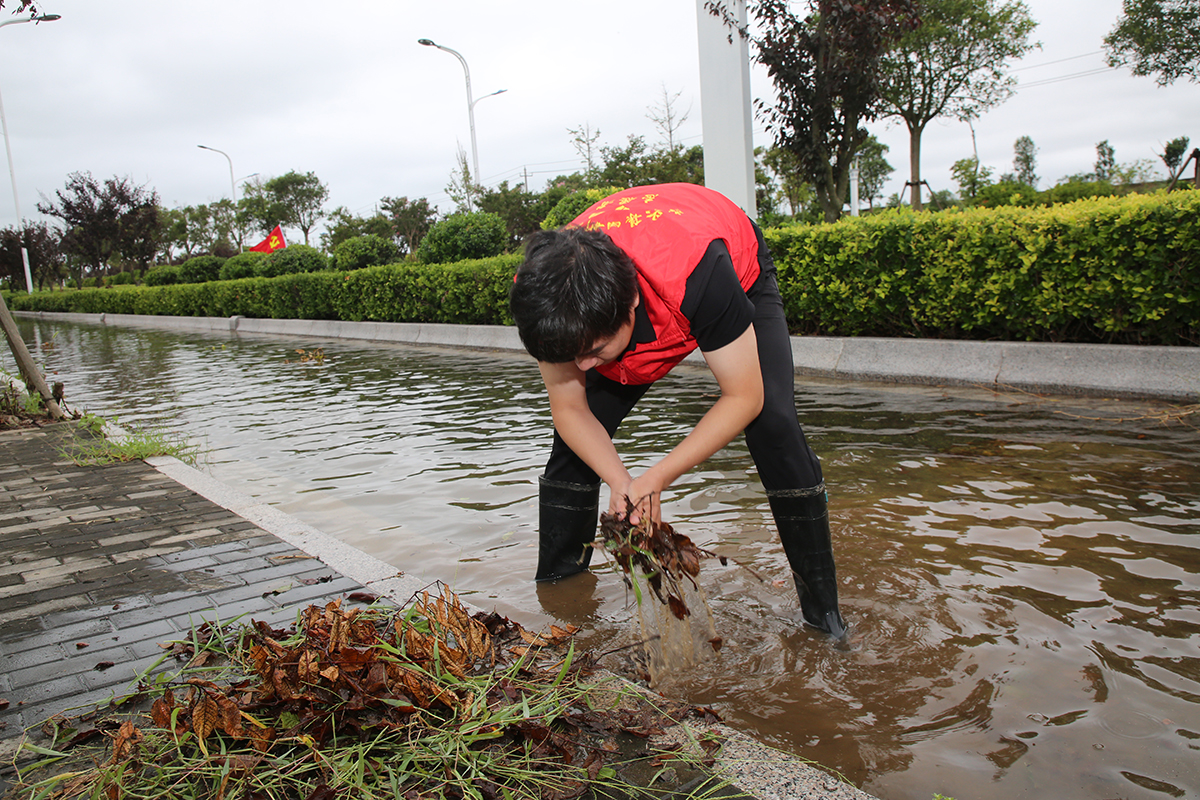 (0830審)高擎黨旗走在前 排澇疏浚顯擔(dān)當(dāng)+新灘鹽場+朱蕓琦(封面圖).jpg